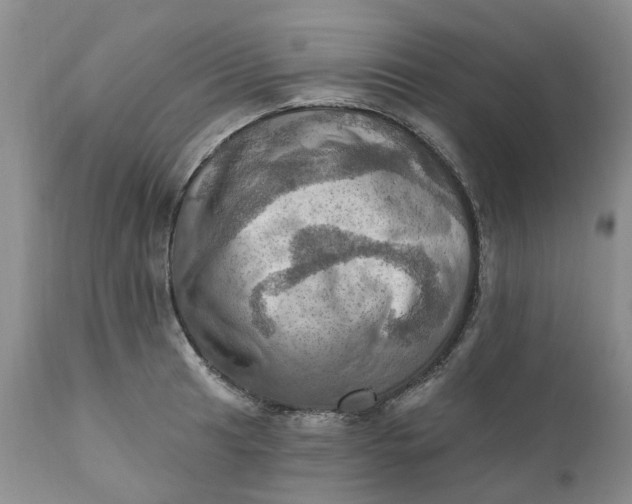 X0000111361041200907241217