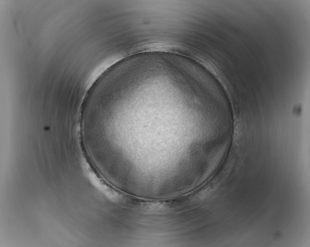X0000111361042200907241217