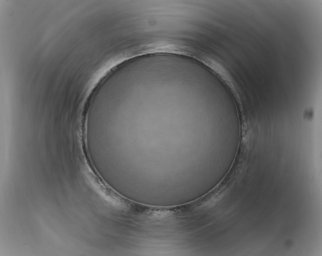 X0000111361043200907241217