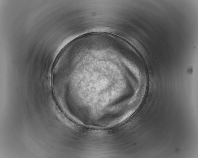 X0000111361044200907241217