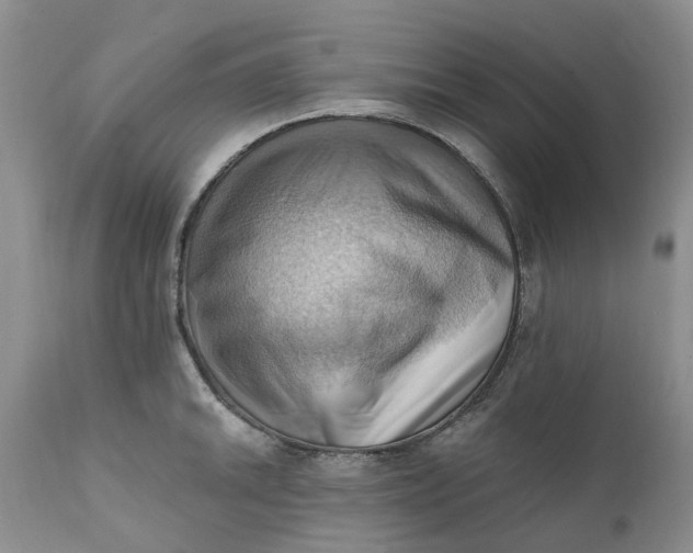 X0000111361046200907241217