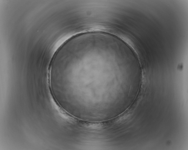 X0000111361047200907241217