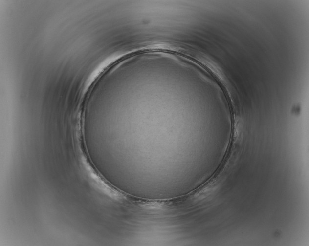 X0000111361048200907241217