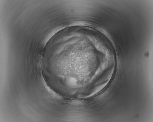X0000111361049200907241217