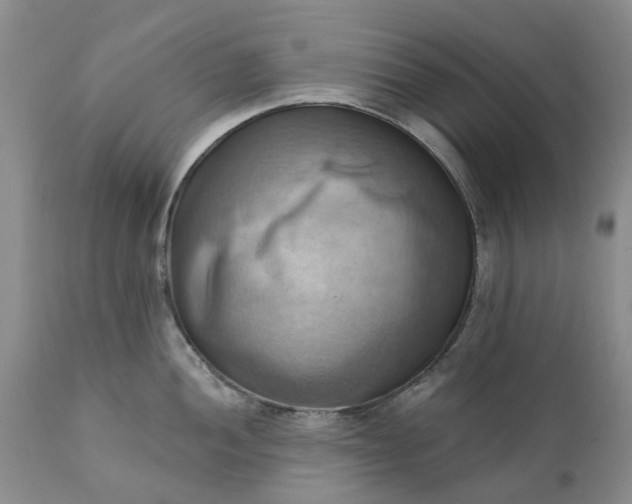 X0000111361052200907241217