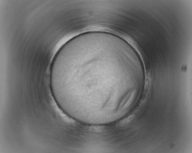 X0000111361053200907241217