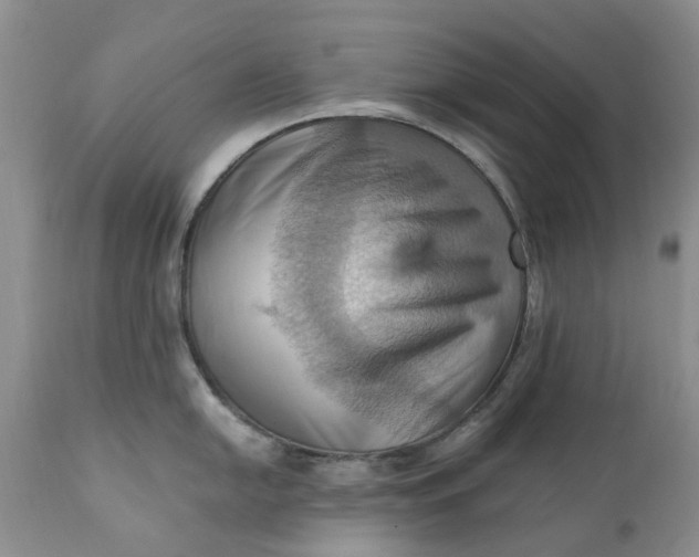 X0000111361054200907241217