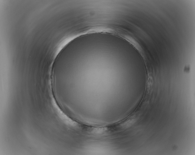 X0000111361055200907241217