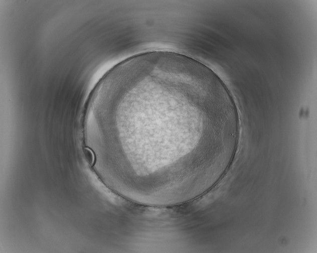 X0000111361056200907241217