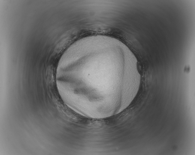 X0000111361058200907241217