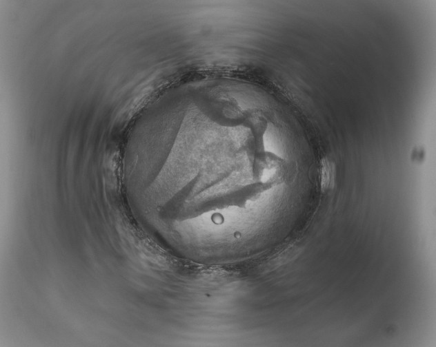 X0000111361059200907241217