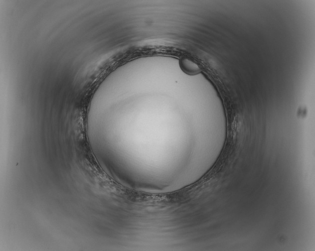 X0000111361062200907241217