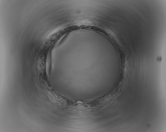 X0000111361063200907241216