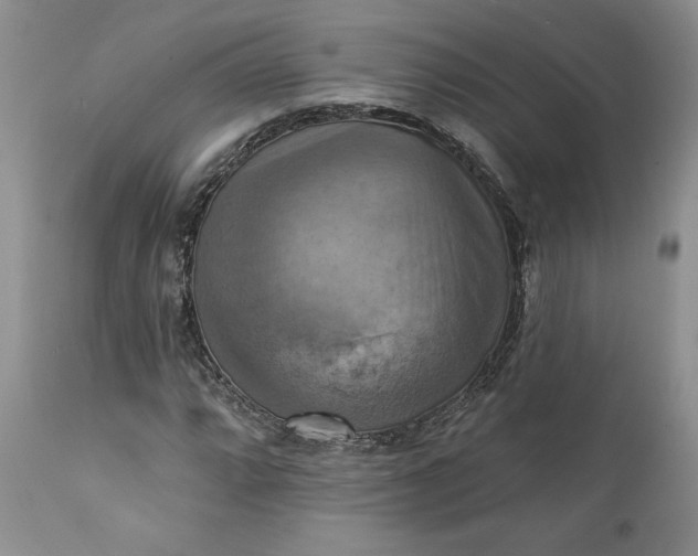 X0000111361064200907241216