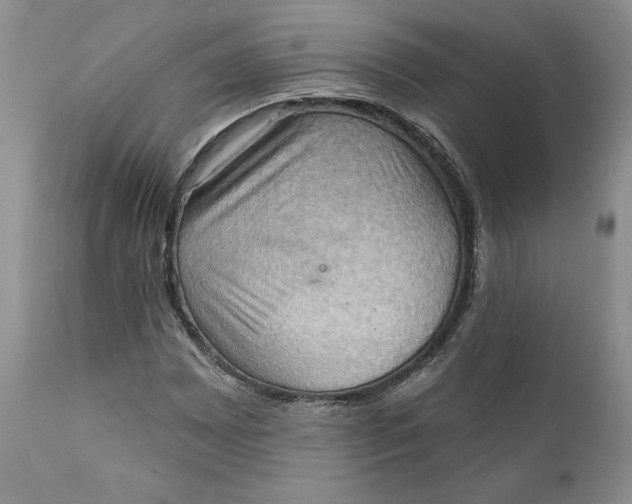 X0000111361065200907241216
