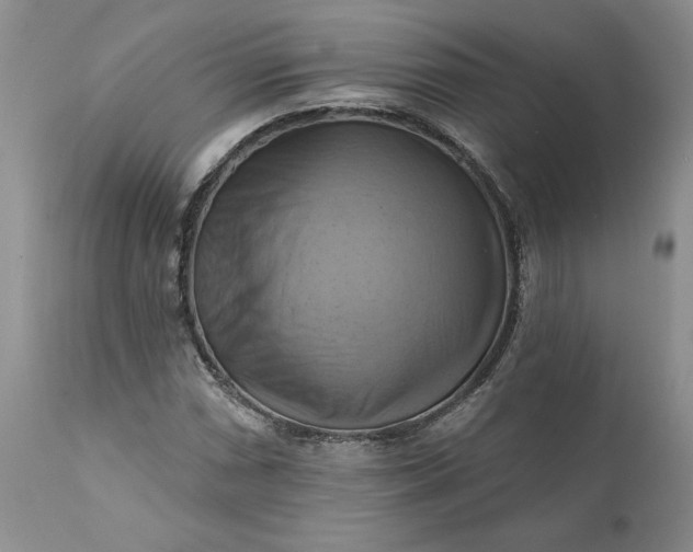 X0000111361066200907241216