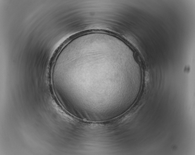 X0000111361068200907241216