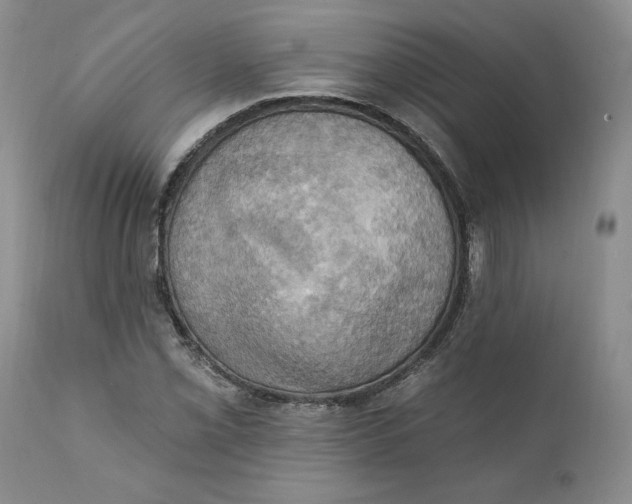 X0000111361069200907241216