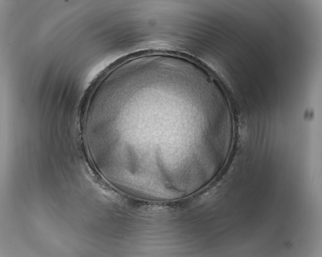X0000111361070200907241216