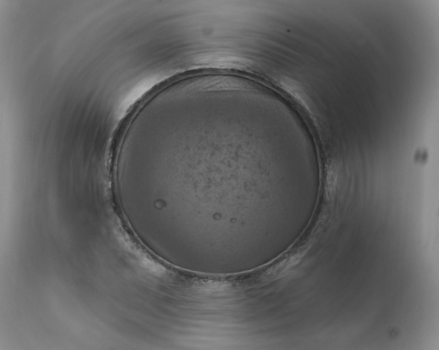 X0000111361071200907241216