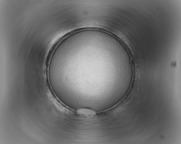 X0000111361072200907241216