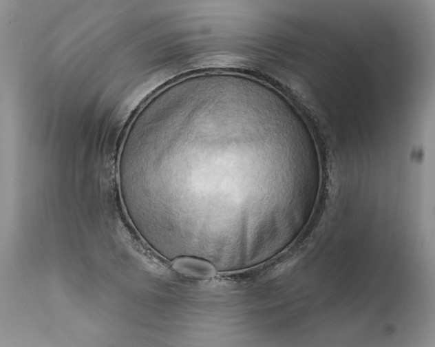 X0000111361073200907241216