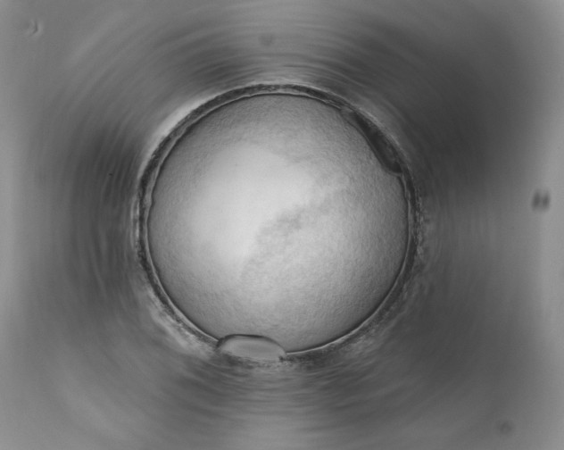 X0000111361076200907241216