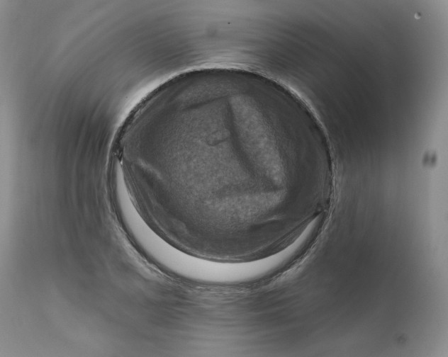 X0000111361077200907241216