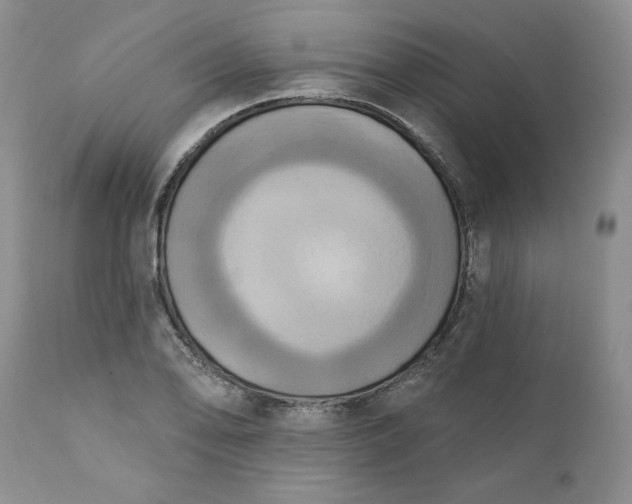 X0000111361078200907241216