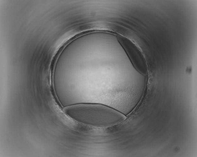 X0000111361080200907241216