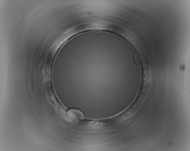 X0000111361081200907241216