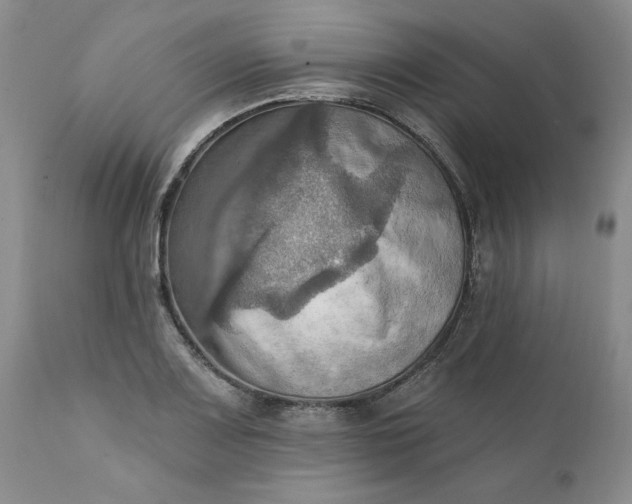 X0000111361083200907241216