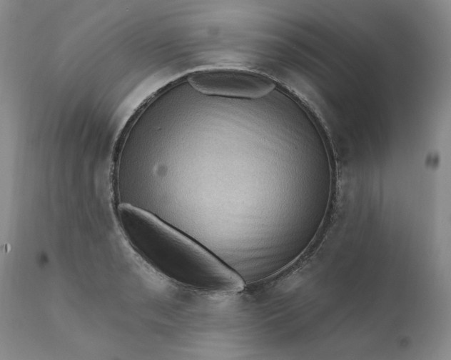 X0000111361085200907241216