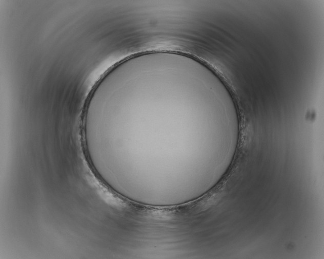X0000111361086200907241216