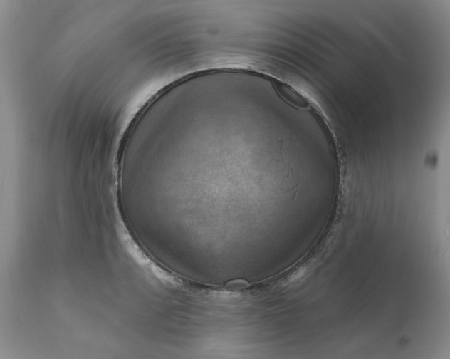 X0000111361088200907241216