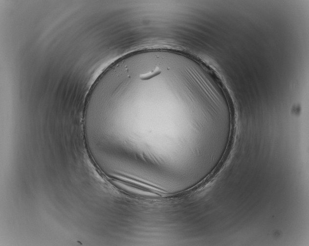 X0000111361089200907241216