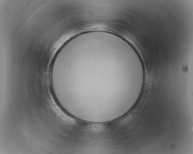X0000111361090200907241216