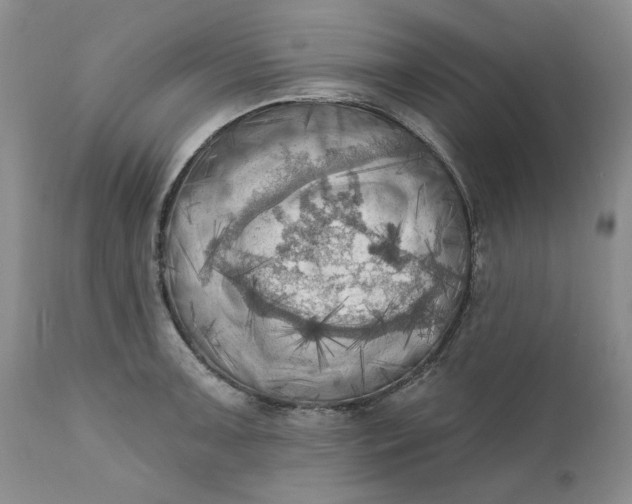 X0000111361091200907241216