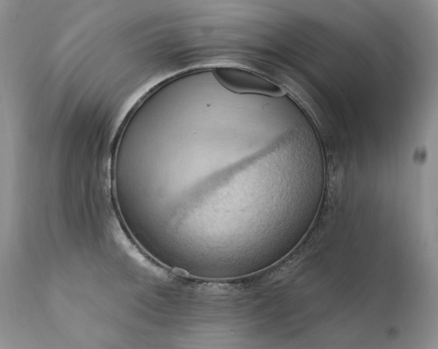 X0000111361092200907241216