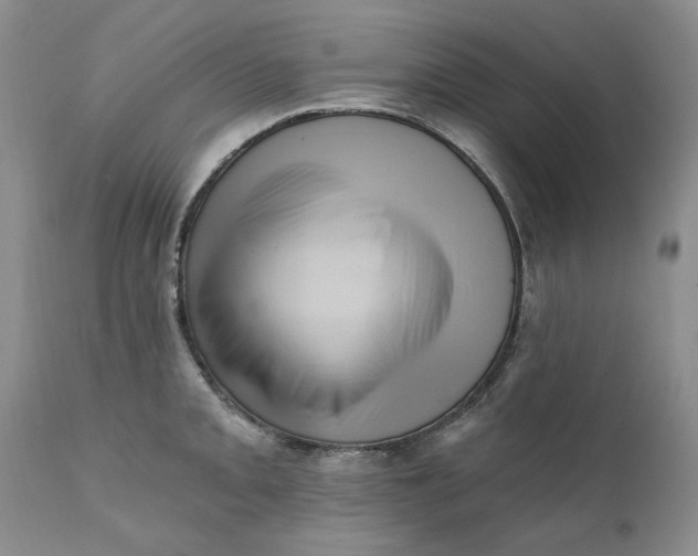 X0000111361093200907241216