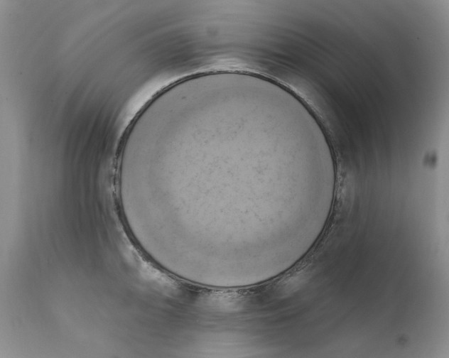 X0000111361094200907241216