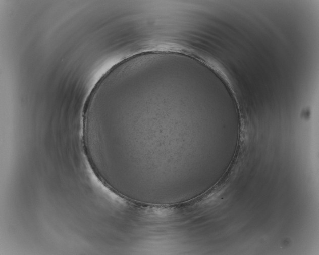 X0000111361095200907241216
