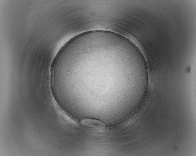 X0000111361096200907241216