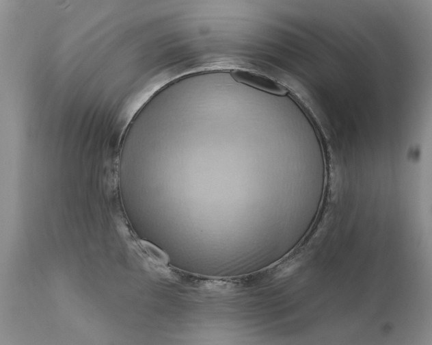 X0000111361097200907241216