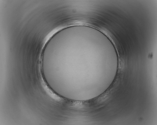 X0000111361098200907241216