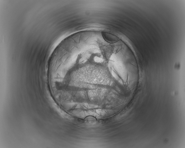 X0000111361099200907241216