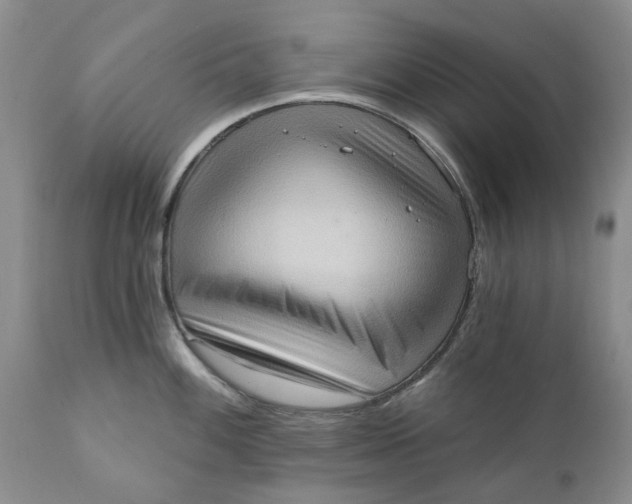 X0000111361100200907241216
