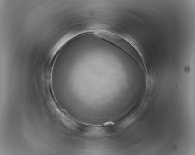 X0000111361101200907241216