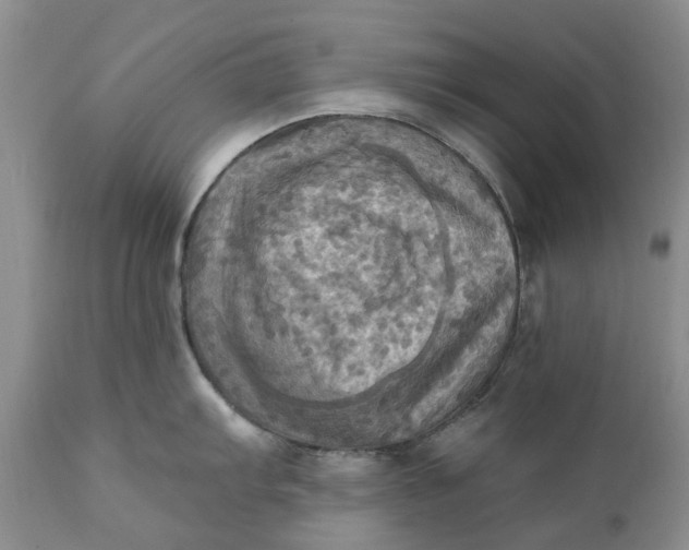 X0000111361103200907241216