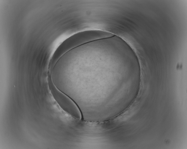 X0000111361104200907241216